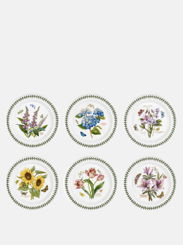Botanic Garden Set of 6 Dinner Plates